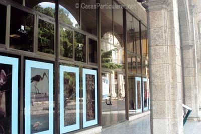 La entrada del Museo de Historia Natural de Cuba