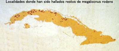 El mapa de Cuba donde ms se encontraron los restos del perezoso megalocnus rodens