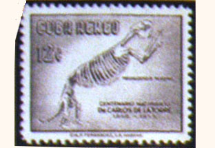El sello dedicado al fósil del megalocnus rodens